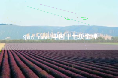 江苏中国十七块金牌