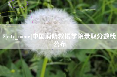 江苏中国消防救援学院录取分数线公布