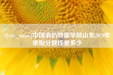 江苏中国消防救援学院山东2020年录取分数线是多少