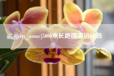 江苏5000米长跑国家运动员