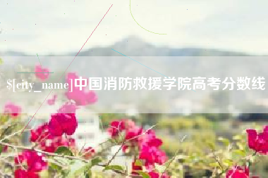 江苏中国消防救援学院高考分数线