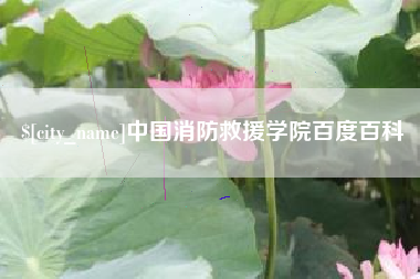 江苏中国消防救援学院百度百科