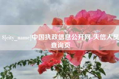 江苏中国执政信息公开网-失信人员查询页