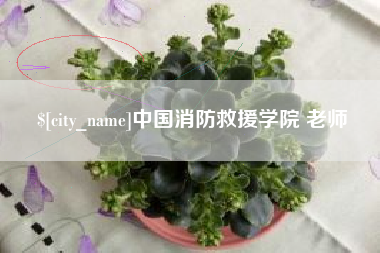 江苏中国消防救援学院 老师