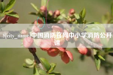 江苏中国消防官网中小学消防公开课