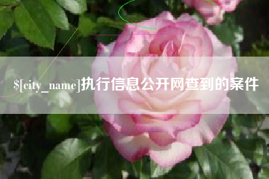 江苏执行信息公开网查到的案件