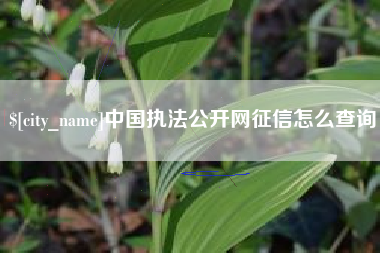 江苏中国执法公开网征信怎么查询