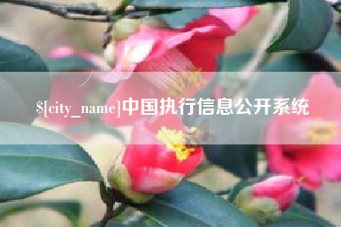 江苏中国执行信息公开系统