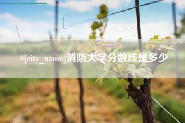 江苏消防大学分数线是多少