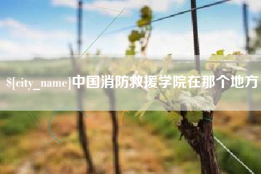 江苏中国消防救援学院在那个地方
