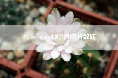 江苏2021消防分数线