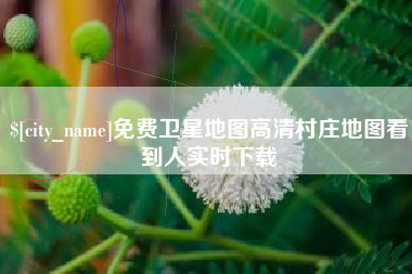 江苏免费卫星地图高清村庄地图看到人实时下载