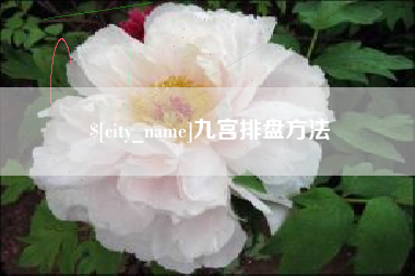 江苏九宫排盘方法