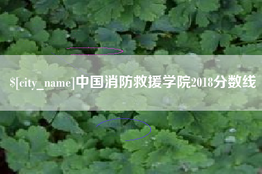 江苏中国消防救援学院2018分数线
