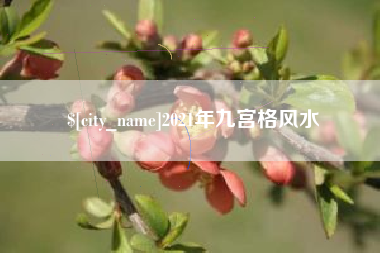 江苏2021年九宫格风水