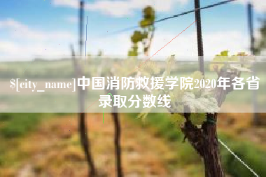 江苏中国消防救援学院2020年各省录取分数线