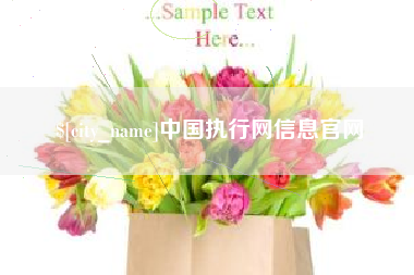 江苏中国执行网信息官网