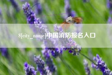 江苏中国消防报名入口