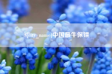 江苏中国最牛保镖