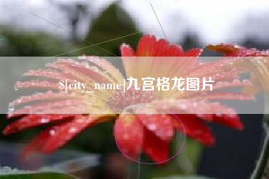 江苏九宫格龙图片