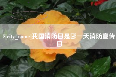 江苏我国消防日是哪一天消防宣传日