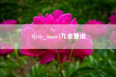 江苏九金是谁