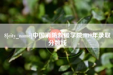江苏中国消防救援学院2019年录取分数线