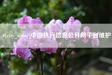 江苏中国执行信息公开网平台维护