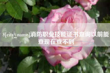 江苏消防职业技能证书查询以前能查现在查不到