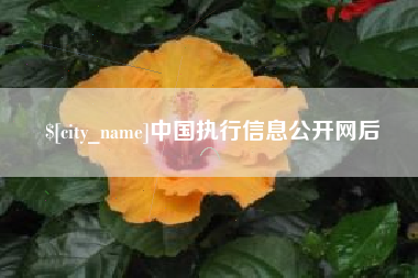 江苏中国执行信息公开网后
