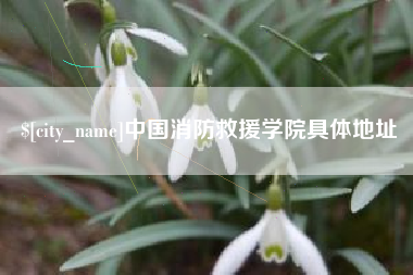 江苏中国消防救援学院具体地址