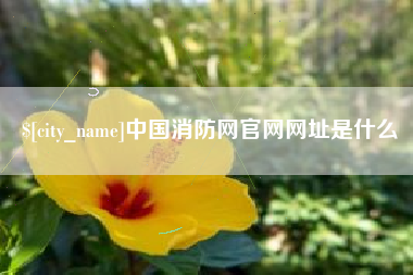 江苏中国消防网官网网址是什么