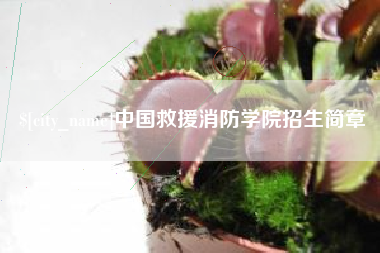 江苏中国救援消防学院招生简章