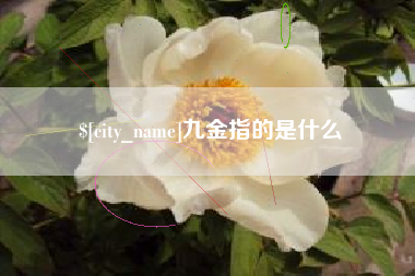 江苏九金指的是什么