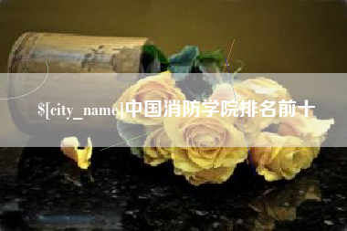 江苏中国消防学院排名前十