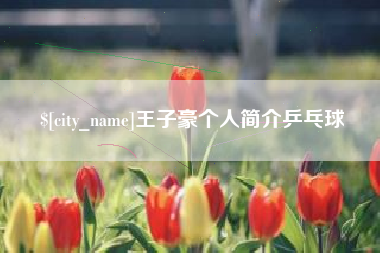 江苏王子豪个人简介乒乓球
