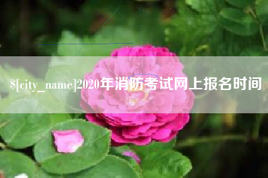 江苏2020年消防考试网上报名时间