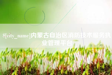江苏内蒙古自治区消防技术服务执业管理平台