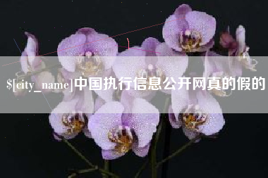 江苏中国执行信息公开网真的假的