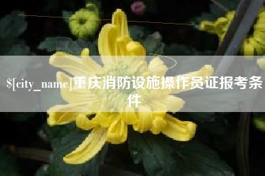 江苏重庆消防设施操作员证报考条件