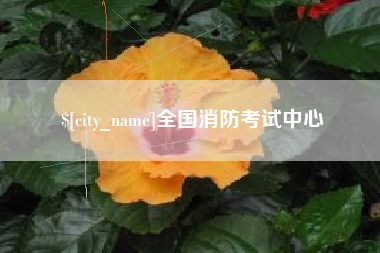 江苏全国消防考试中心