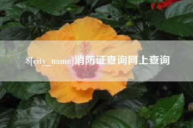 江苏消防证查询网上查询