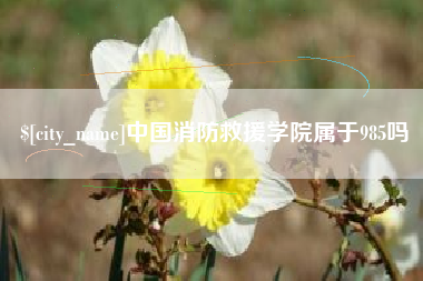 江苏中国消防救援学院属于985吗