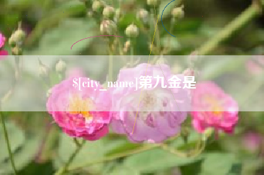 江苏第九金是