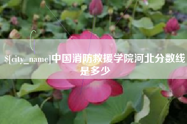 江苏中国消防救援学院河北分数线是多少