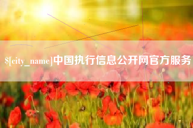 江苏中国执行信息公开网官方服务