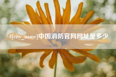 江苏中国消防官网网址是多少