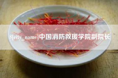 江苏中国消防救援学院副院长