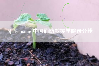 江苏中国消防救援学院录分线