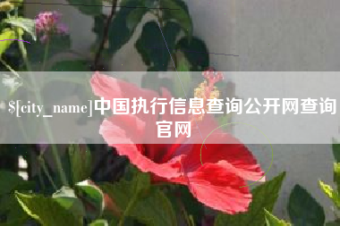 江苏中国执行信息查询公开网查询官网